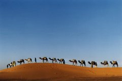 04caravanedelexponomade.jpg - 